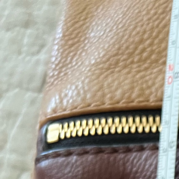 Fossil - Picture 13 of 13